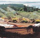 Morella Island Retreats P/L - Accommodation Brisbane