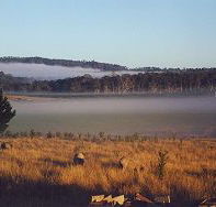 Fonthill - Accommodation Brisbane