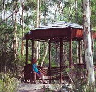 Telopea - Accommodation Brisbane