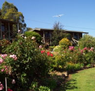 Mole Creek Holiday Village - Accommodation Brisbane