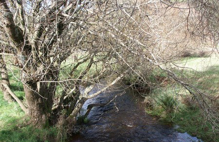 Penguin Valley Farm - Accommodation Brisbane 1