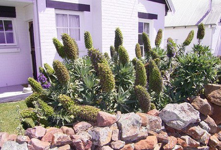 Lester Cottages Complex - Accommodation Brisbane 2