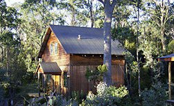 Cradle Mountain Highlanders - Accommodation Brisbane 1