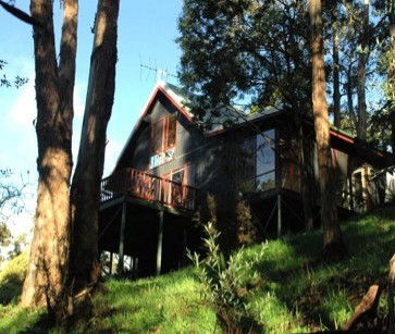 Tree Tops Cascades - Accommodation Brisbane 2