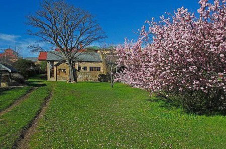 Forget-Me-Not Cottage - Accommodation Brisbane 3