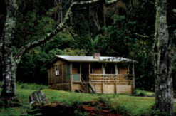 Mountain Valley Wilderness Holidays - Accommodation Brisbane 1