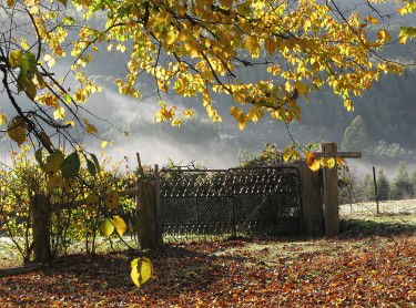 Red Rooster Host Farm - Accommodation Brisbane 2