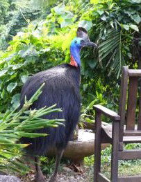 Sanctuary Retreat - Accommodation Brisbane 2