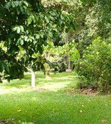 Kingfisher Park Birdwatchers Lodge - Accommodation Brisbane 0