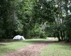 Kingfisher Park Birdwatchers Lodge - Accommodation Brisbane 5