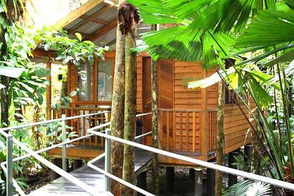 Daintree Wilderness Lodge - Accommodation Brisbane 3