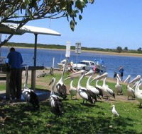 Mountain View Caravan and Mobile Home Village - Accommodation Brisbane