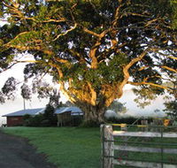 Arley Farm The Old Dairy - Accommodation Brisbane
