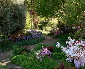  Accommodation Brisbane