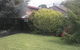 The Wattles On Eddy - thumb 0