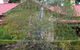 Silver Birch Bed & Breakfast - thumb 4