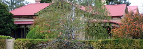 Silver Birch Bed & Breakfast - Accommodation Brisbane 4