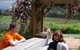 Back Forest Retreat - thumb 1