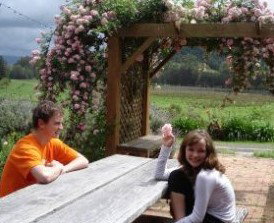 Back Forest Retreat - Accommodation Brisbane 1