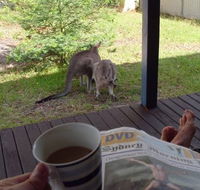 Bush and Bay Cottage - Accommodation Brisbane