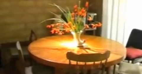 At The Springs Cottages - Accommodation Brisbane 2