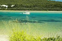 Wooli Camping and Caravan Park - Accommodation Brisbane