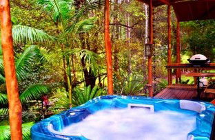 A Waterfall Hideout-Rainforest Cabin For Couples - Accommodation Brisbane 5