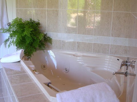 Mescals At Pampoolah Bed And Breakfast - Accommodation Brisbane 1