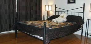Artisans ...on The Hill Bed And Breakfast - Accommodation Brisbane 2