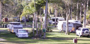 Brigadoon Holiday Park - Accommodation Brisbane 2