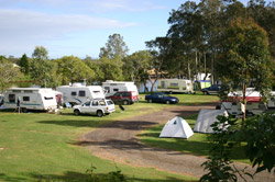 Dawson River Tourist Park - Accommodation Brisbane 1