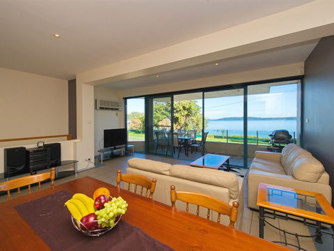 Dolphins - Accommodation Brisbane 1