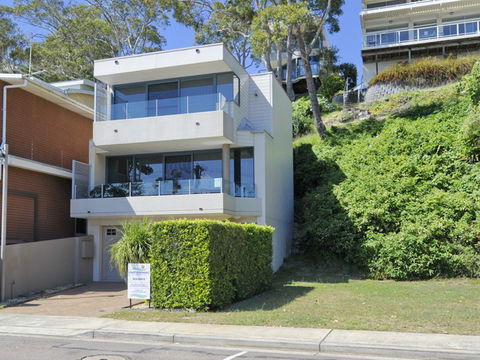 Dolphins - Accommodation Brisbane 2