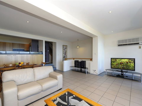 Dolphins - Accommodation Brisbane 3