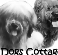 2 Dogs Cottages - Accommodation Brisbane