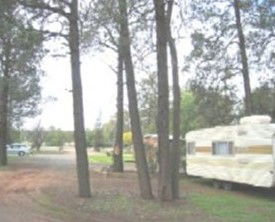 The Kelpie Caravan Park - Accommodation Brisbane 0