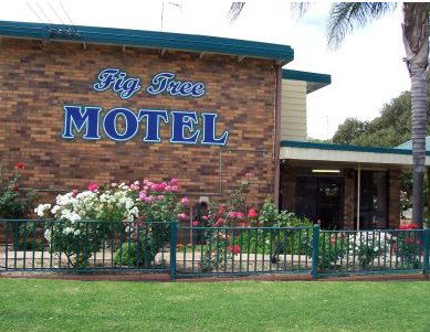 Fig Tree Motel - Accommodation Brisbane 0