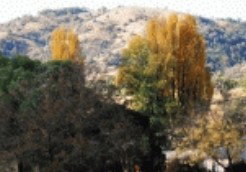 Appleby NSW Accommodation Brisbane