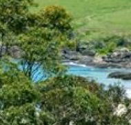 Aqua Bamboo - Accommodation Brisbane