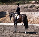 Apptrak Stud - Accommodation Brisbane