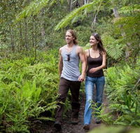 Blackheath Glen Tourist Park - Accommodation Brisbane