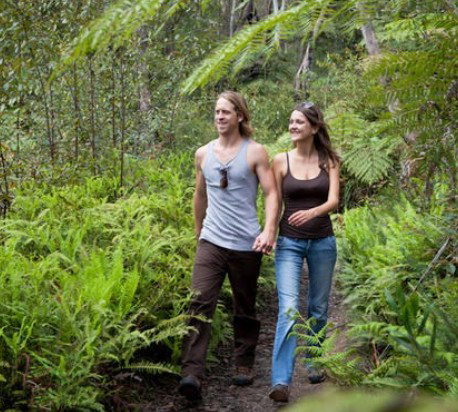 Blackheath Glen Tourist Park - Accommodation Brisbane 0