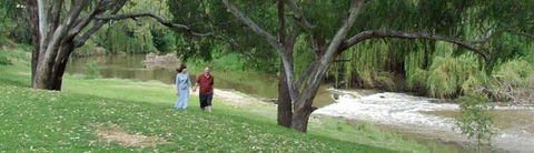 Apex Riverside Tourist Park - Accommodation Brisbane 4