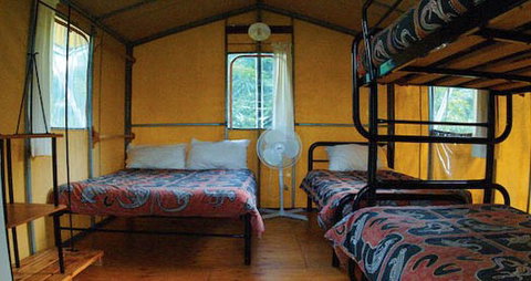 Takarakka Bush Resort - Accommodation Brisbane 4