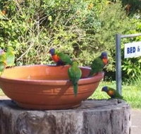 Lamb Island Bed and Breakfast - Accommodation Brisbane