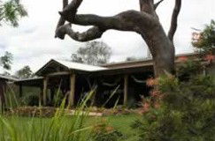 The Hollow Log Country Retreat - Accommodation Brisbane 0