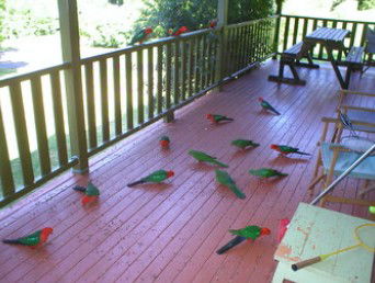 A Little Bit Of Heaven - Holiday Home - Accommodation Brisbane 8