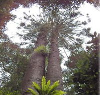 Moorlands Country Retreat - Accommodation Brisbane