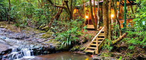 The Mouses House - Rainforest Retreat - Accommodation Brisbane 0