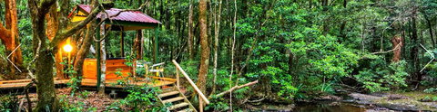 The Mouses House - Rainforest Retreat - Accommodation Brisbane 3